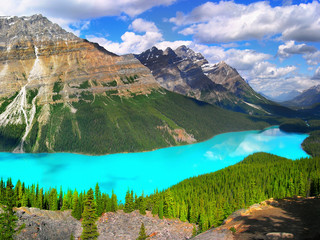 Scenic turquoise Peyto lake in mountains Canada