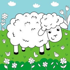 coloring book sheep