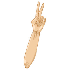 Human hand with the sign of peace. Hand with two fingers out. Vector illustration. Simple hand drawn icon..