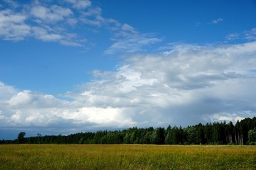 Summer landscape with forest and meadow in the foreground, Beautiful blue sky with white clouds