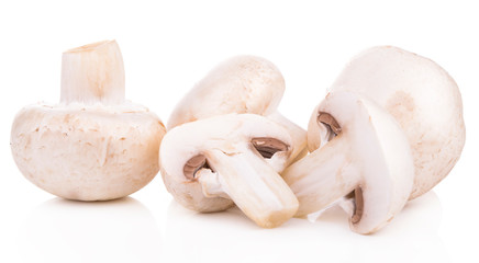 Mushroom champignon healthy fresh vegetable from nature isolated on a white background.