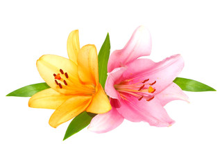 Pink orange lily flower bouquet isolated on white