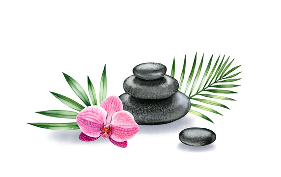 Watercolor arrangement of stones and orchid. Dark basalt pyramid with tropical flower and palm leaves. Spa and interior decor isolated on white background.