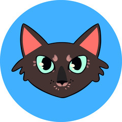 Grey cat on a blue background. Cat face icon, cute kitten.
