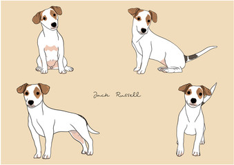 Vector Illustration of Dog, Jack Russell Terrier