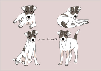 Vector Illustration of Dog, Jack Russell Terrier