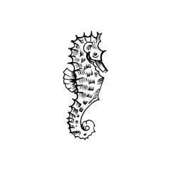 Sea horse sketch. Hand-drawn vector illustration. Isolated on white.