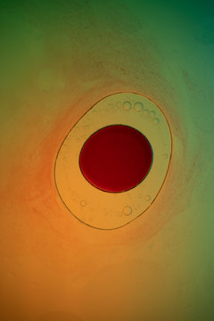 Oil Bubbles in Water, Fettaugen in Wasser
