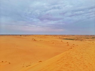 Fototapeta na wymiar sand dune in desert of Algeria