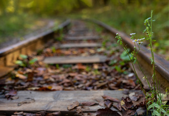 A old narrow gauge railway. A canyon Guamka,  Russia, Krasnodar. A forest, a creek and rock at autumn.