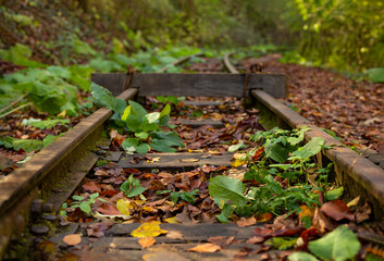 A old narrow gauge railway. A canyon Guamka,  Russia, Krasnodar. A forest, a creek and rock at autumn.