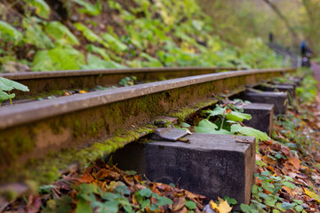 A old narrow gauge railway. A canyon Guamka,  Russia, Krasnodar. A forest, a creek and rock at...