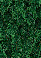 Christmas decoration element. Christmas tree branches background. Green colorful pine pattern. Vector