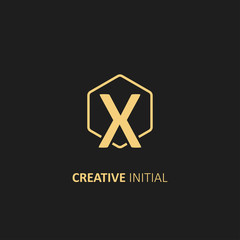 Letter X Logo with Outline Hexagon Frame. Design vector illustration template