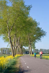 yellow flowers and colorful children on bicycle on country road in spring near leerdam in holland