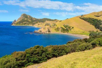 Obraz premium Fletcher Bay on the remote northern tip of the Coromandel Peninsula, New Zealand. At the end of the peninsula in the background is Sugar Loaf Hill and 