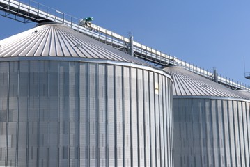 Moisson blé, déchargement  à la coopérative