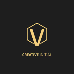 Letter V Logo with Outline Hexagon Frame. Design vector illustration template