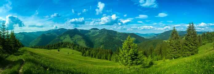 Pure clean air of alpine meadow beautiful panorama. Carpathian mountains