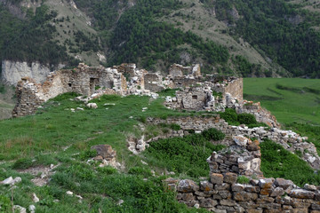 Fototapeta na wymiar unknown ruins of an ancient city on a mountainside in Chechnya
