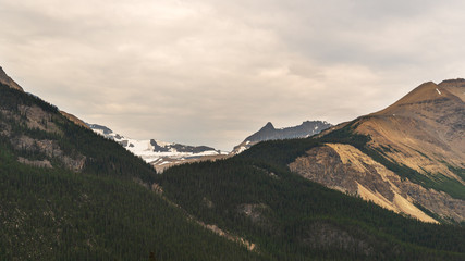 columbia Icefield, Jasper National Park, Alberta, Canada
