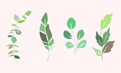 set of leaves vector nature 
