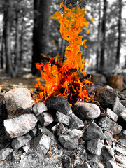 a burning wood fire