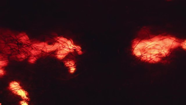 Sparkling fire spreading over the burning wire wool #K4HC033