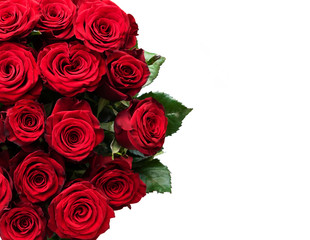 isolated bouquet of fresh red roses