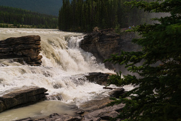 athabaska fall,  Jasper National Park, Albrta, Canada