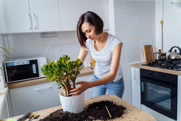 Beautiful smiling girl with braces replanting a indoor flower. Wearing a white T-shirt and blue...
