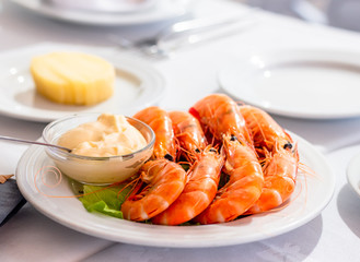 Shrimps on the white plate with mayo