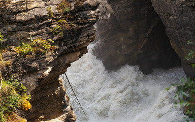 athabaska fall,  Jasper National Park, Albrta, Canada