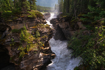athabaska fall,  Jasper National Park, Albrta, Canada