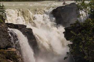 athabaska fall, Jasper National Park, Albrta, Canada