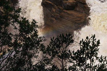 athabaska fall,  Jasper National Park, Albrta, Canada