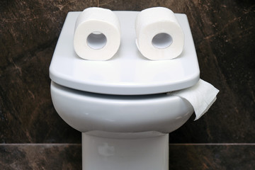 Toilet bowl with two rolls of paper similar to eyes or glasses. Funny concept of running out of...