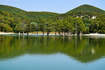Naklejka na ściany i meble Lake Sukko, Krasnodar territory, Russia. Cypress grove in the waters of the lake. A fantastically beautiful lake in the mountains.
