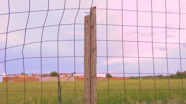 campo amapolas cielo valla