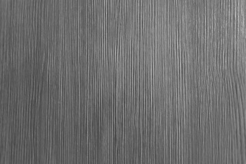 texture of a relief tree black and white with a relief