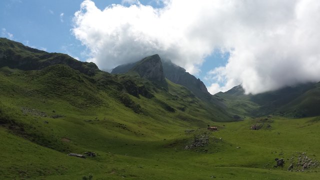 Pongamos que hablo del Para&iacute;so