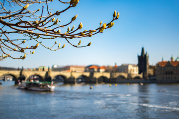 Primavera di Praga