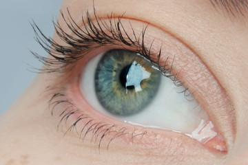 Macro photo of a female eye of blue color with yellow splashes