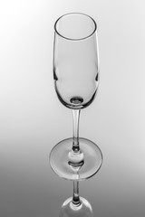 Champagne glass on a gray glossy background isolation