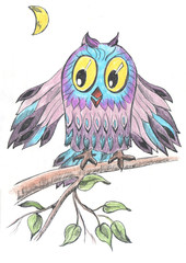 рисунок цветными карандашами сова