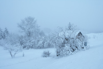 Winter in Feltre valley