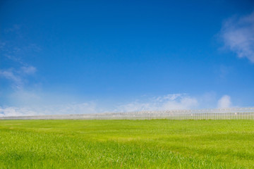 Fototapeta na wymiar green grass and blue sky background with metal fence at the middle
