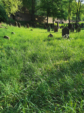 Jüdischer Friedhof in MIltenberg