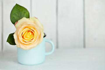 Rose - single flower in vase on table