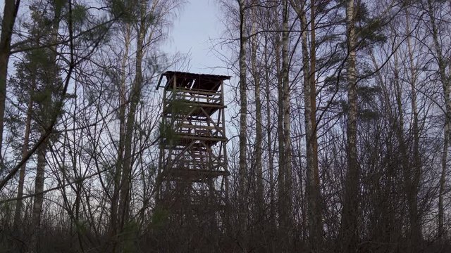 The view of the tall watch tower in the middle of the forest